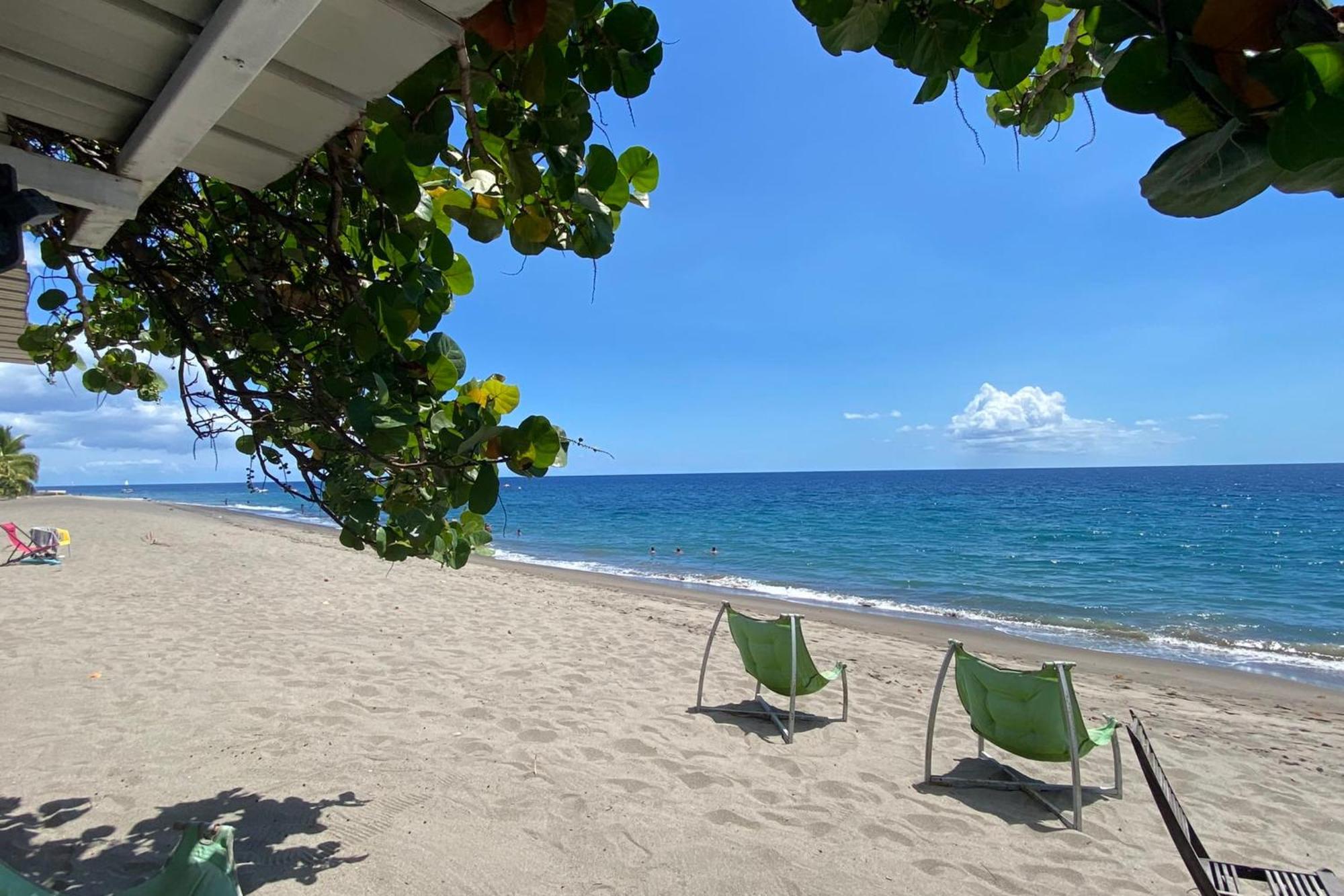 972M Beautiful Air-Conditioned Villa With Garden Le Carbet Buitenkant foto
